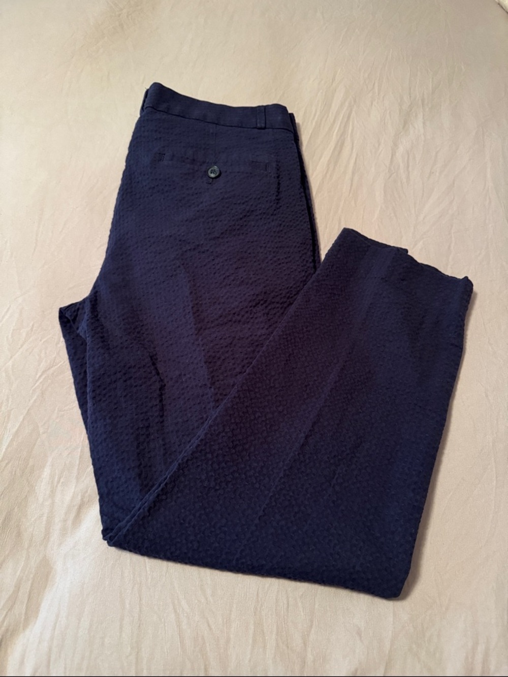 Banana Republic Navy Seersucker Pants